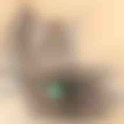 Giocattolo per gatti | PREYPLAY