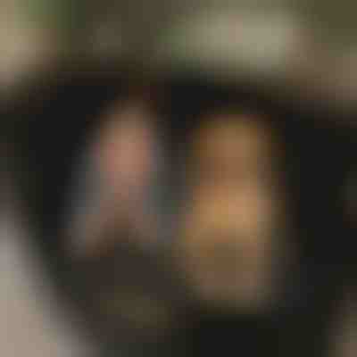 Copertura impermeabile per il sedile posteriore dell'auto per cani | CARIPET