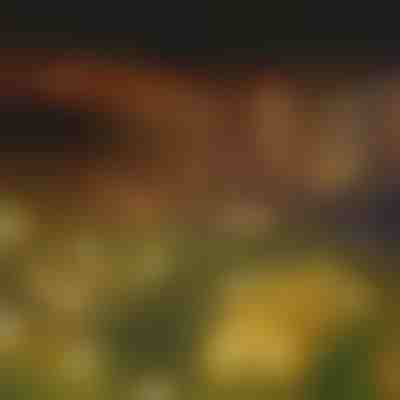 Catena luminosa solare con 6 lampadine a LED | SOMPEX